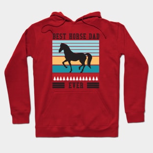 Best Horse Dad Ever Hoodie